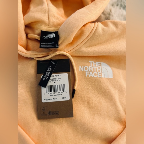 NWT The North Face Coordinates Hoodie with Back Graphic in Apricot XL - Picture 7 of 10